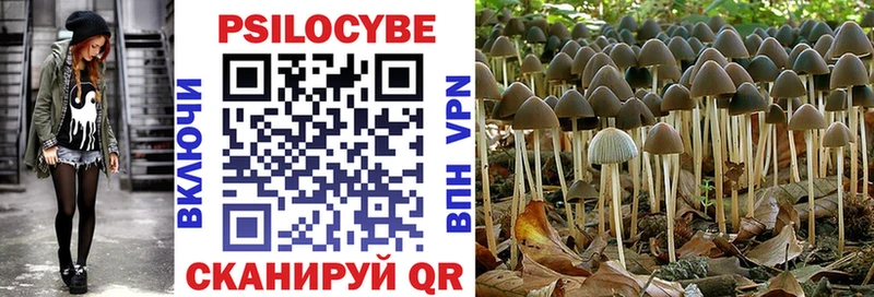 Галлюциногенные грибы MAGIC MUSHROOMS  Ядрин 